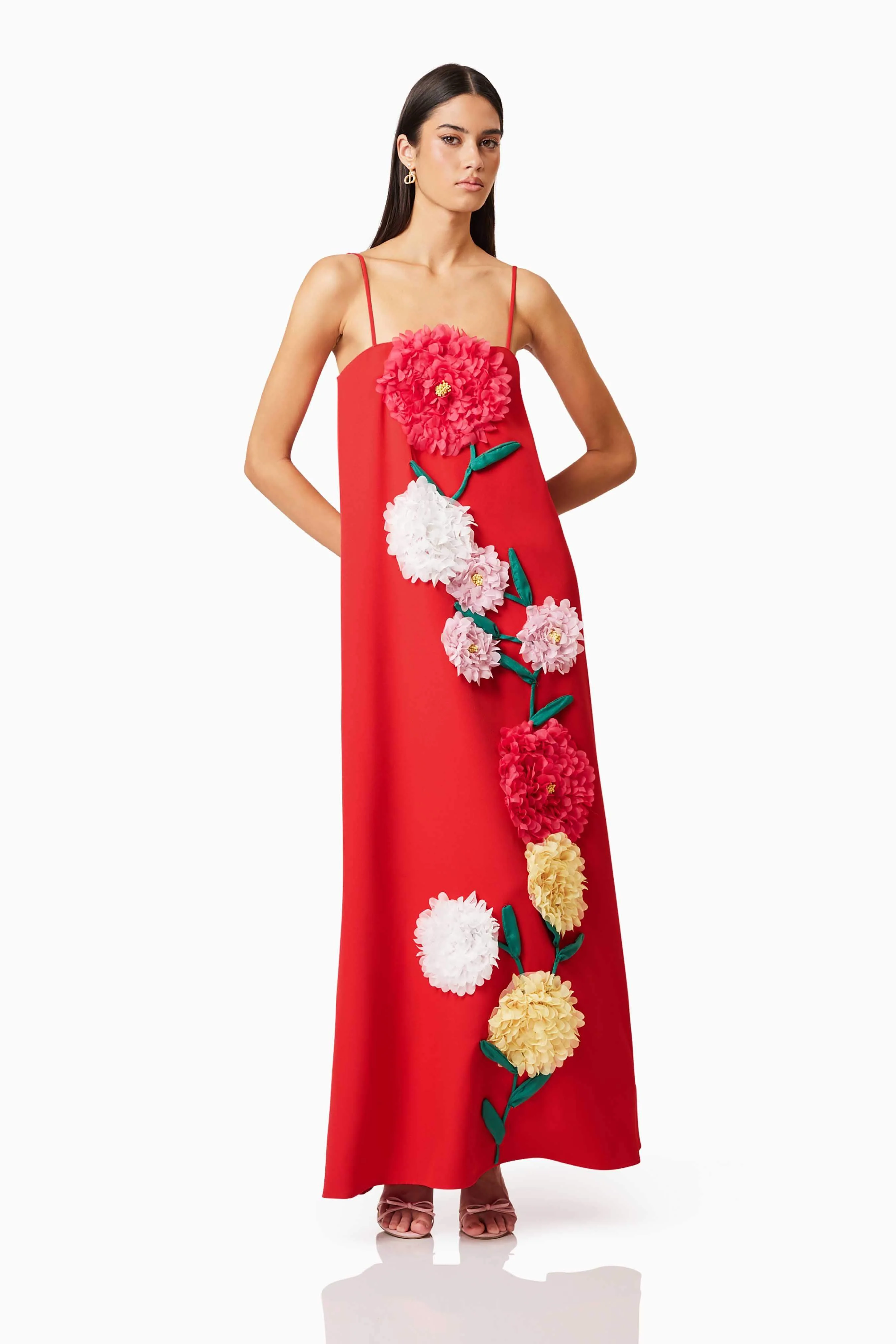 Buttercup Embroidered Maxi Dress In Red - Image 4