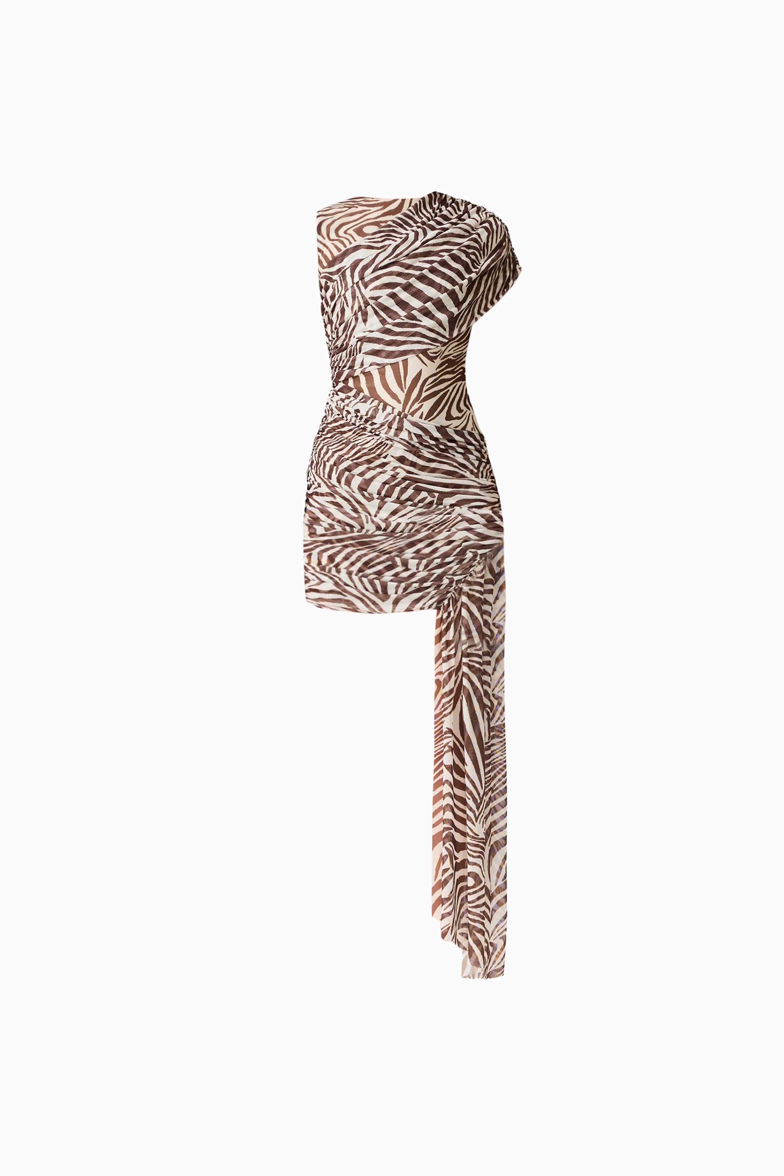 CURAAE Arabelle Mini Dress in Zebra Print - Image 5